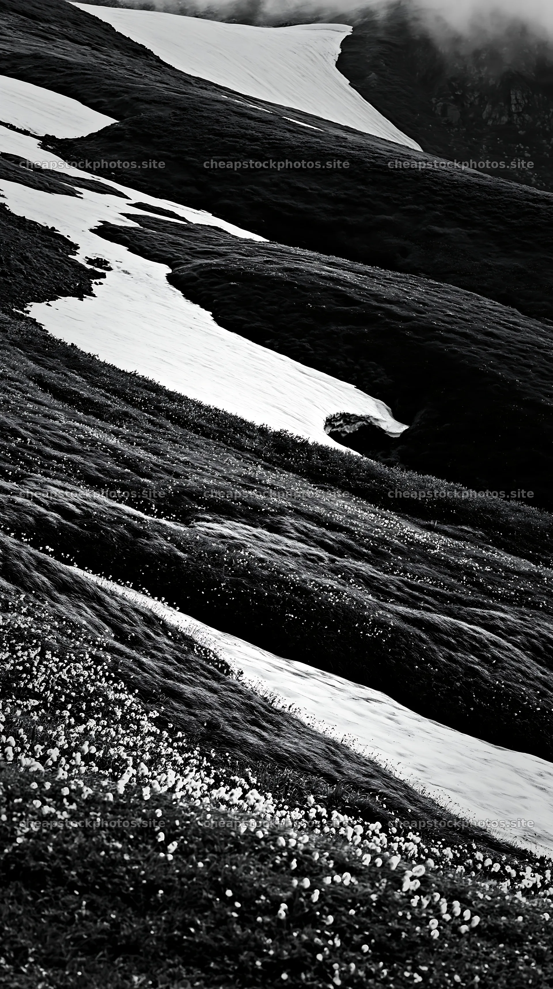Akita snowmelt meadow with silver grasses and flowing water – stock photos 5938x10608