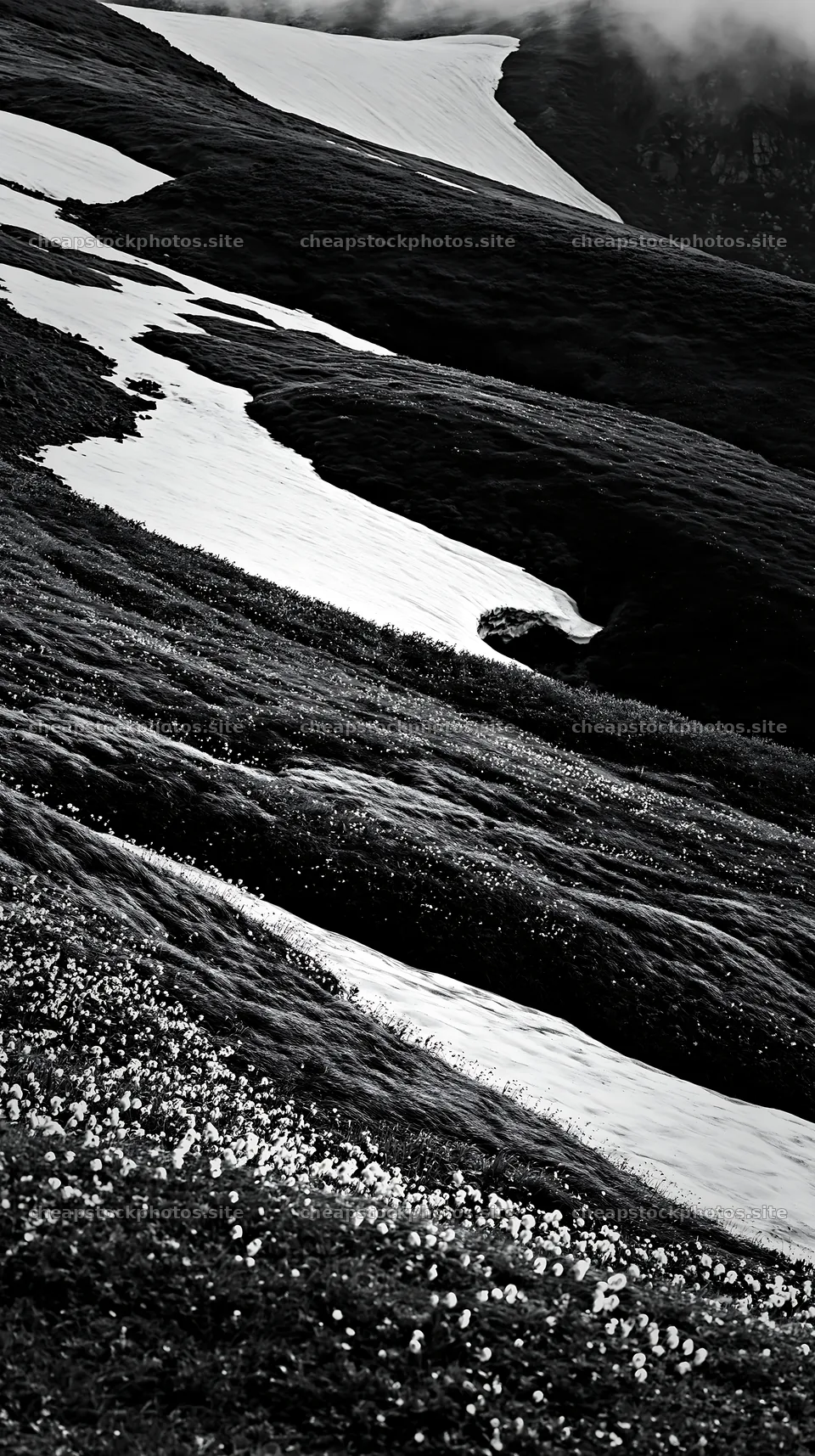 Akita snowmelt meadow with silver grasses and flowing water – stock photos 5938x10608