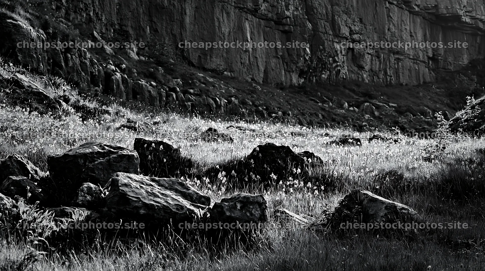 Biodiverse meadow with rocks and cliffs in natural light – stock photos 10608x5938