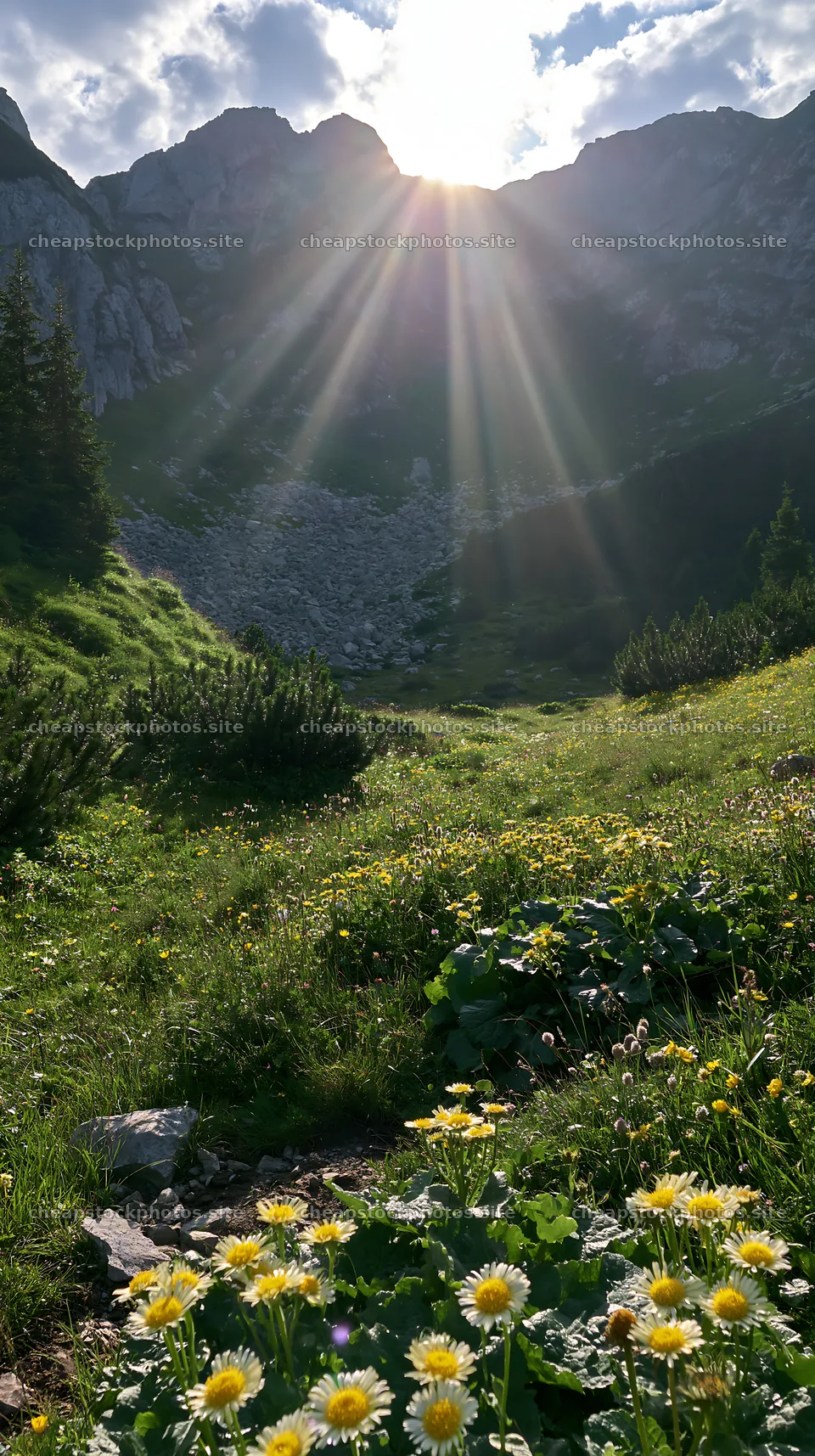 Light rays over meadow in Bucegi Mountains – stock photos 5938x10608