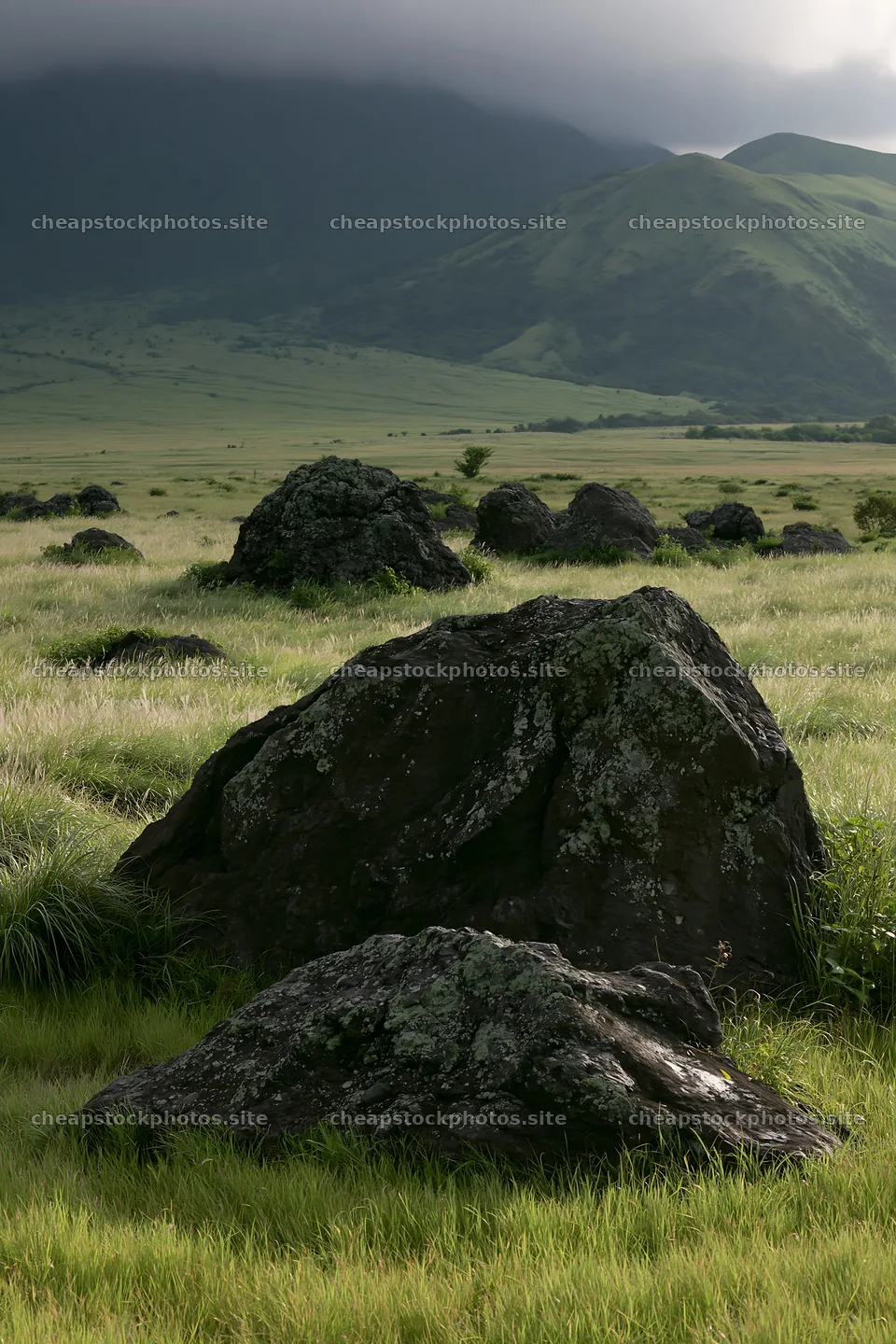 Restored Kumamoto silver grass meadow with boulders – stock photos 6480x9722