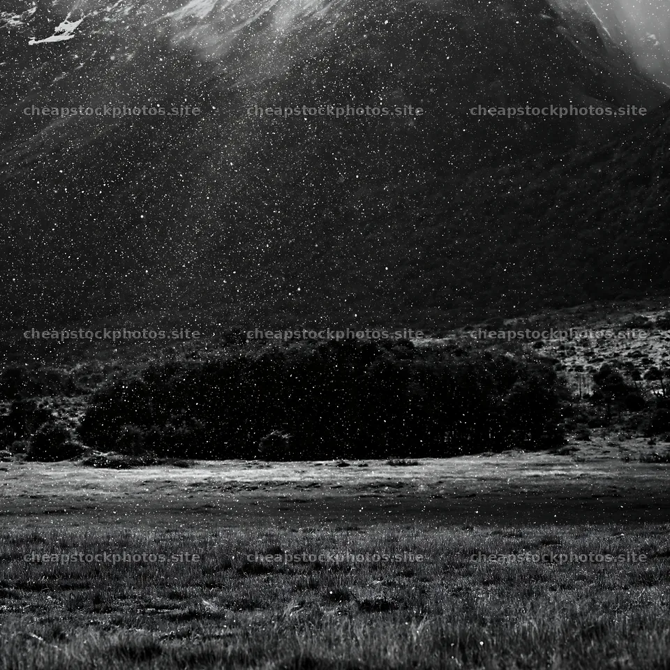 Snow falling on Torres del Paine meadow with mountains in background – stock photos 7938x7938