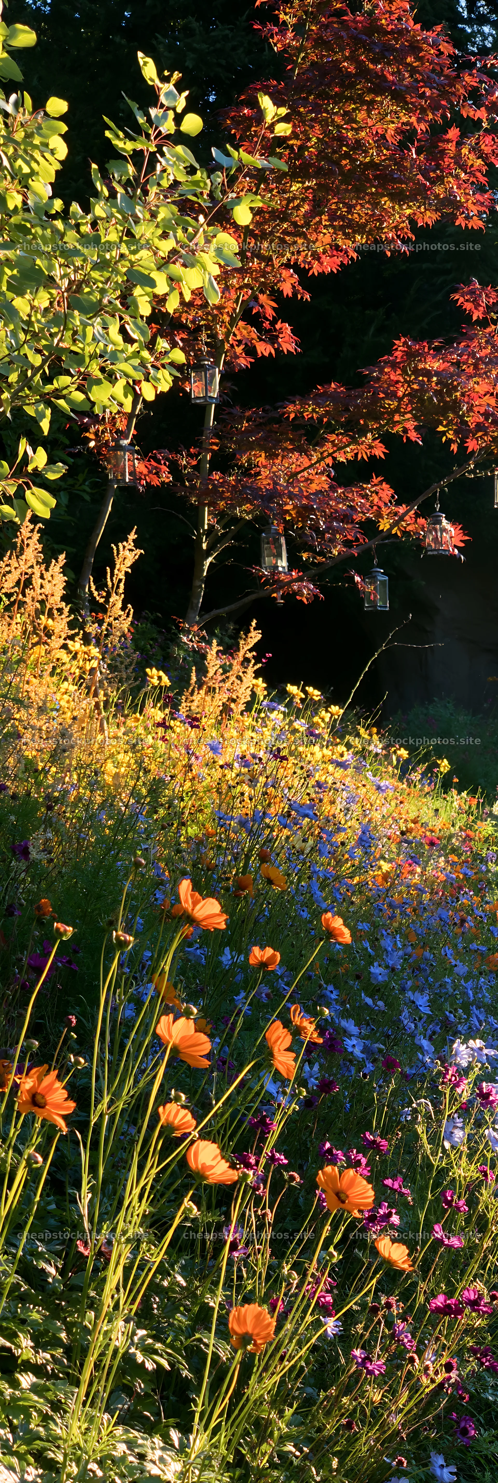 Christmas lanterns at dusk in meadow by cave – stock photos 4602x13690