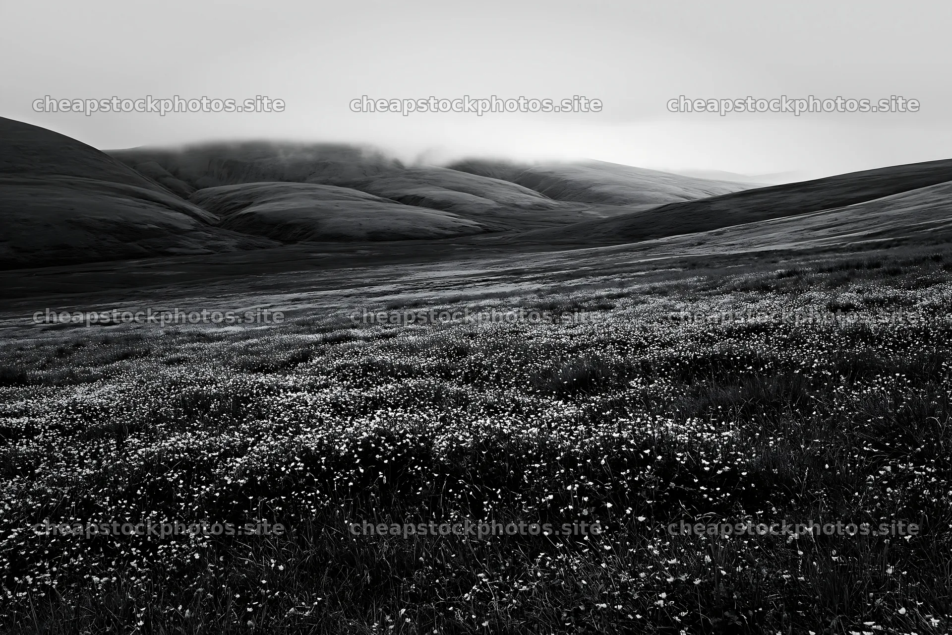 Buttercup meadow with rolling hills under a cloudy sky – stock photos 9722x6480