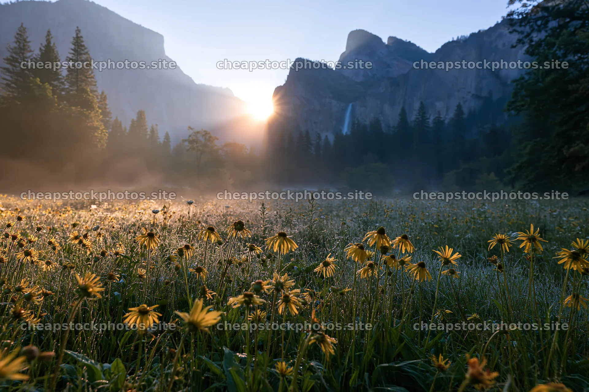 Flowering meadow near mountain falls at sunrise – stock photos 9722x6480