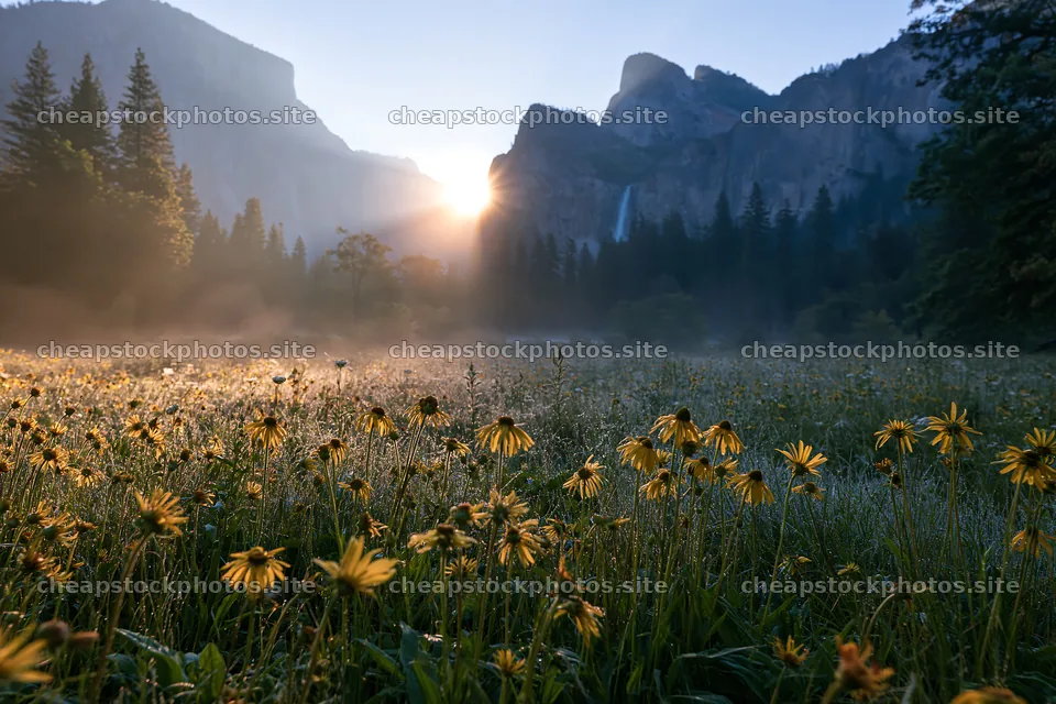 Flowering meadow near mountain falls at sunrise – stock photos 9722x6480