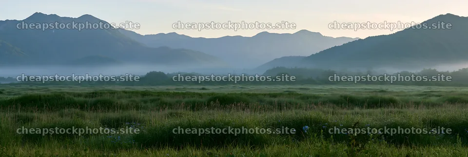 Expansive Hokkaido restoration meadow with dewdrops – stock photos 13690x4602