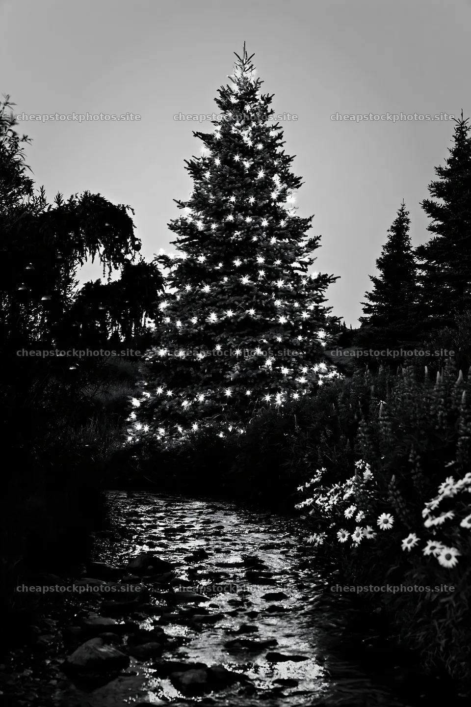 Christmas tree at dusk beside stream in meadow – stock photos 6480x9722