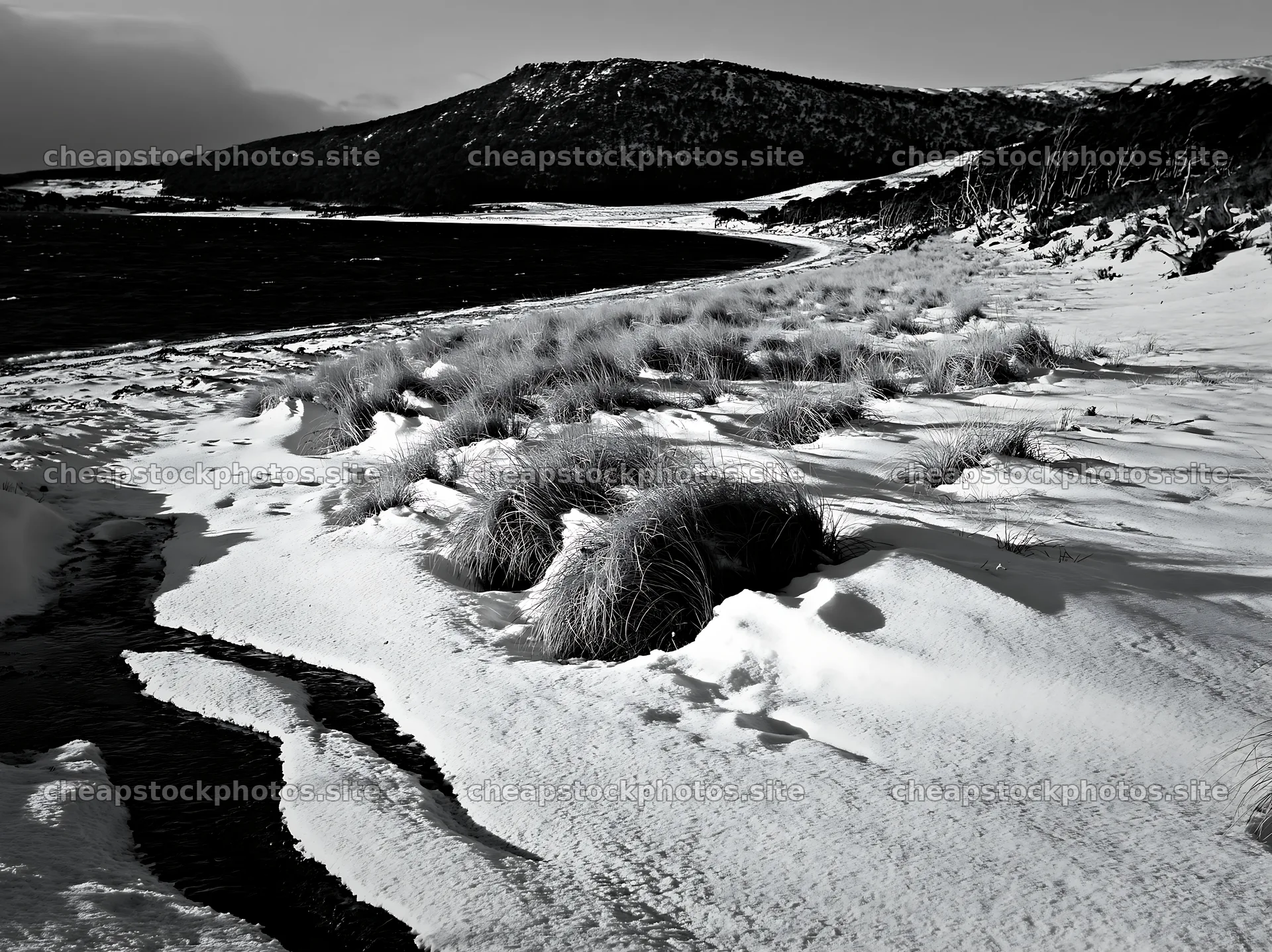 Snowy beach meadow with grass and a lake in winter – stock photos 9174x6866