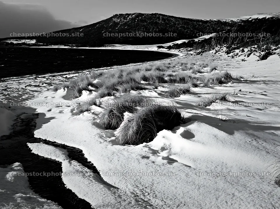 Snowy beach meadow with grass and a lake in winter – stock photos 9174x6866