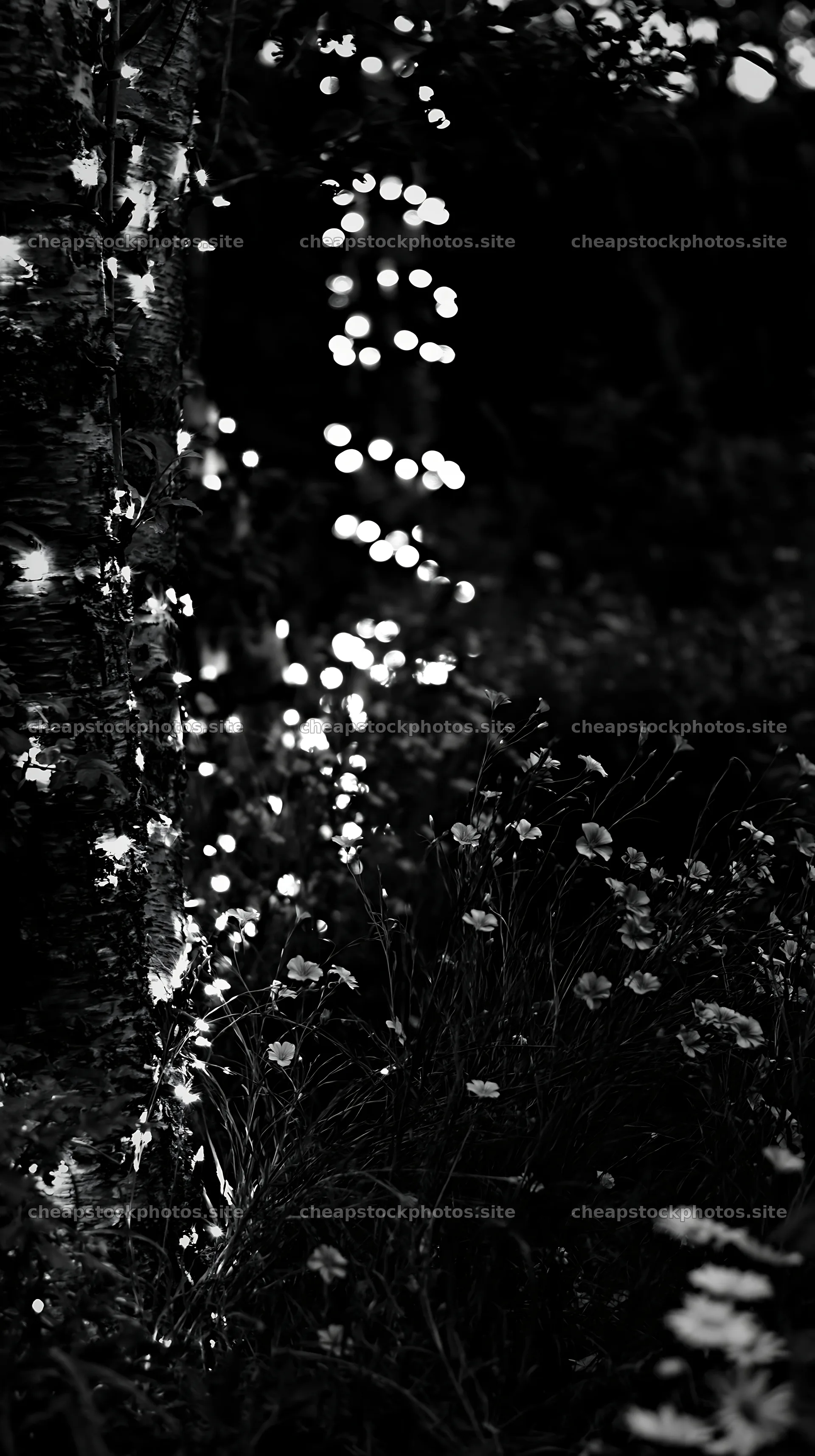 Christmas lights at dusk in a meadow by a cave – stock photos 5938x10608