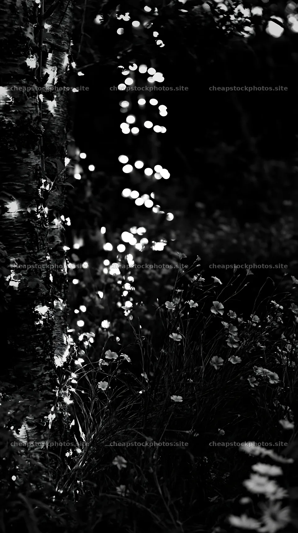 Christmas lights at dusk in a meadow by a cave – stock photos 5938x10608