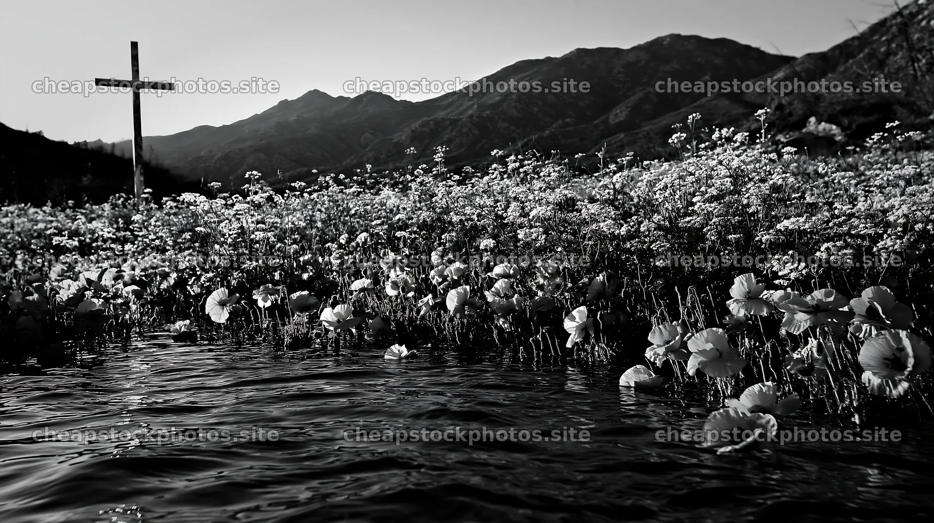 Christian cross beside mineral spring meadow in black and white – stock photos 10608x5938