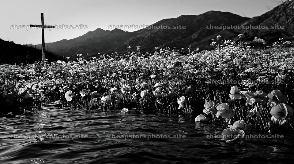 Christian cross beside mineral spring meadow in black and white – stock photos 10608x5938