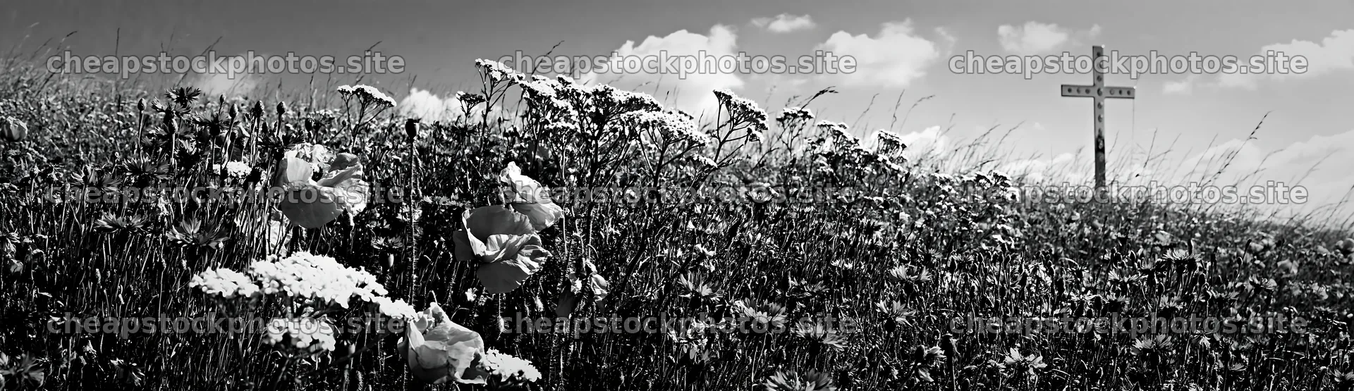 Christian cross in a meadow with wildflowers – stock photos 14762x4268