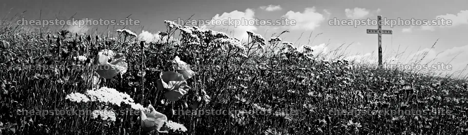 Christian cross in a meadow with wildflowers – stock photos 14762x4268