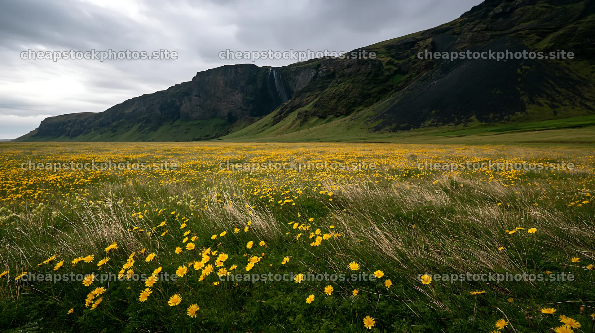 Flowering meadow with mountain falls in background – stock photos 10608x5938