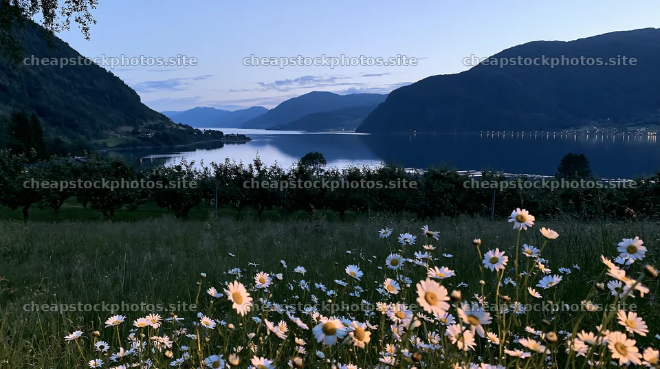 Fjord orchard meadow with flowers and mountains in the background – stock photos 10608x5938
