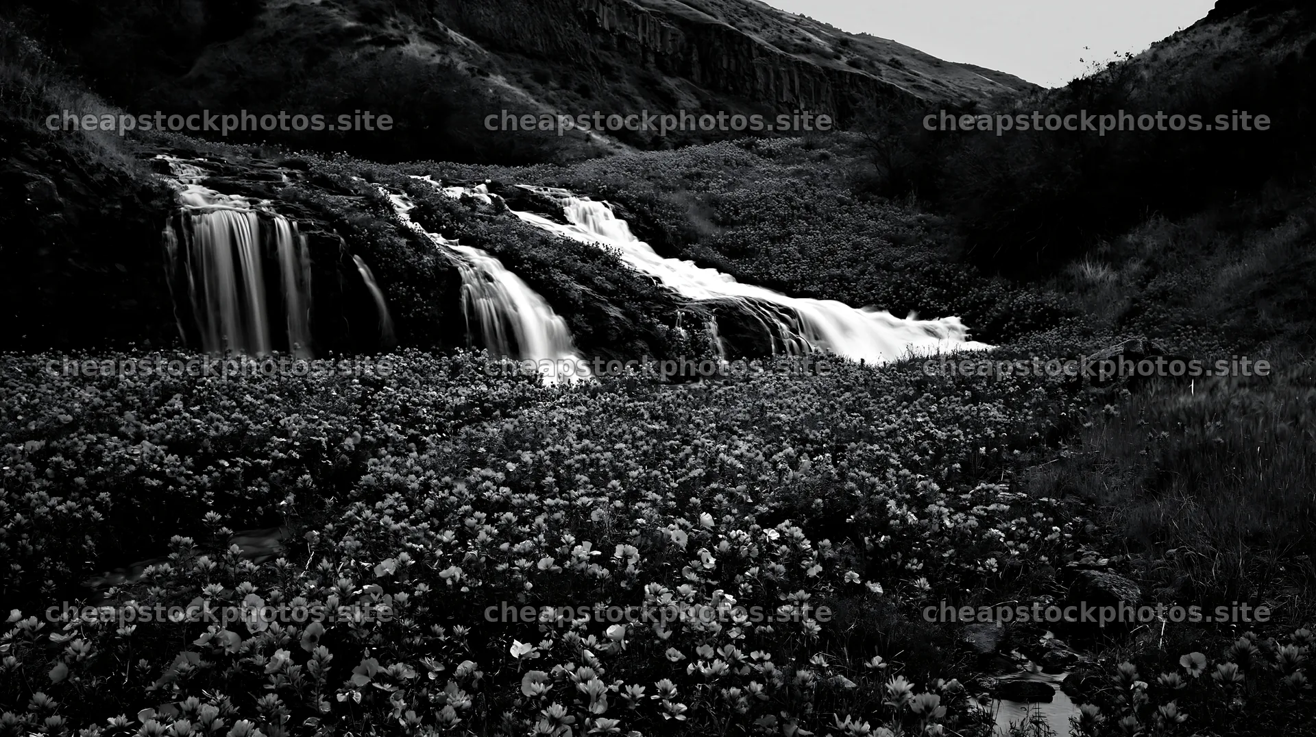 Cascade valley flower meadow with waterfall – stock photos 10608x5938