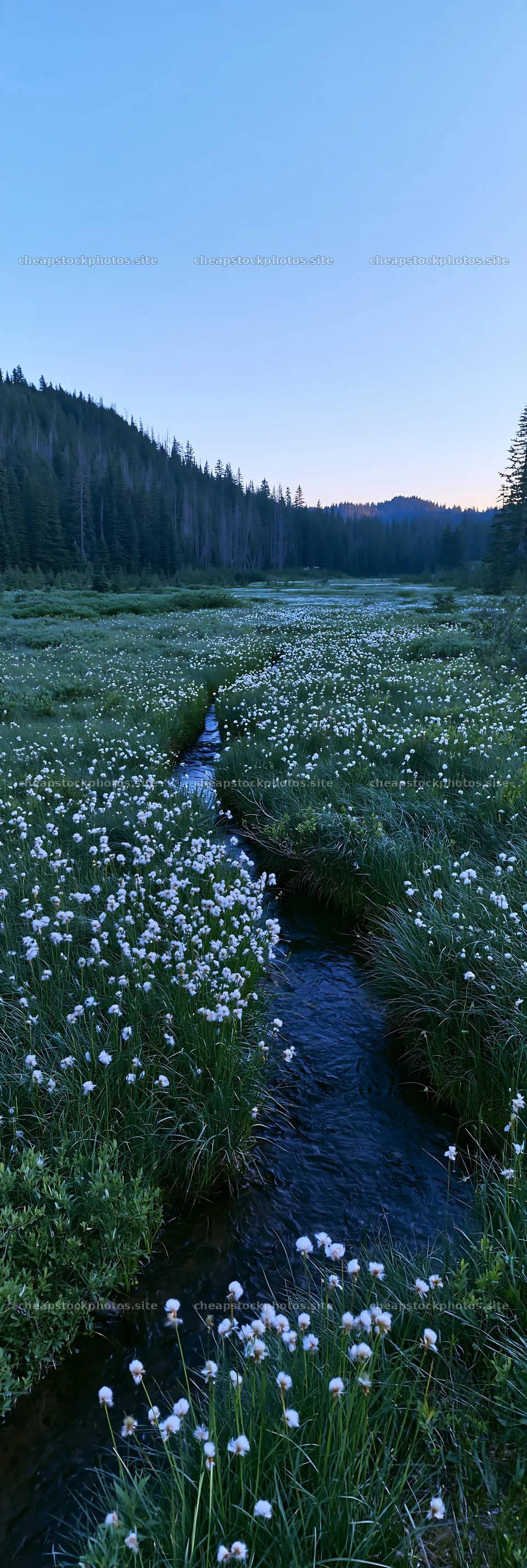 High contrast meadow brook landscape at dusk – stock photos 4602x13690