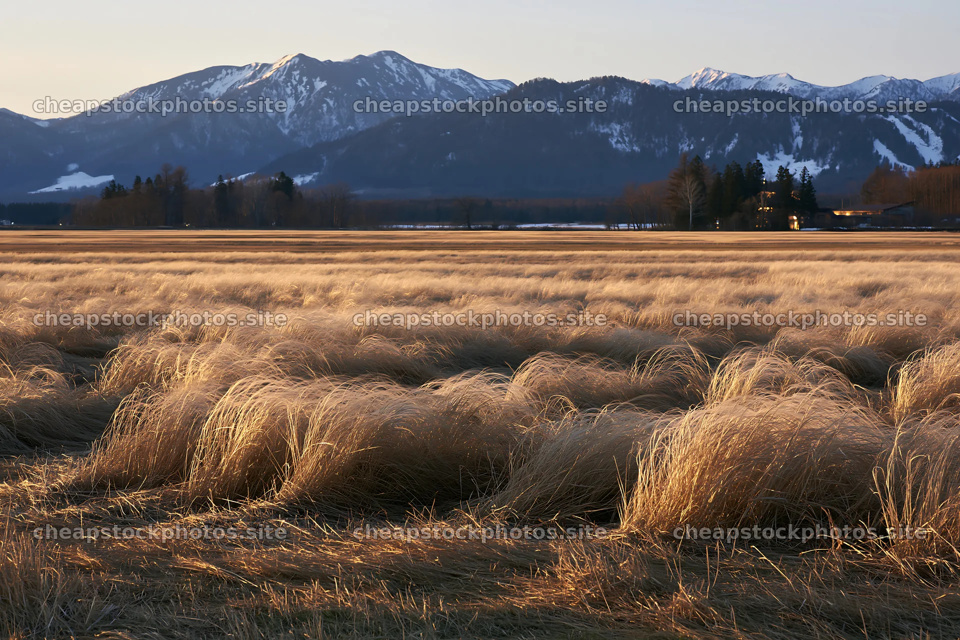 Akita snowmelt meadow with silver grasses at sunset – stock photos 9722x6480