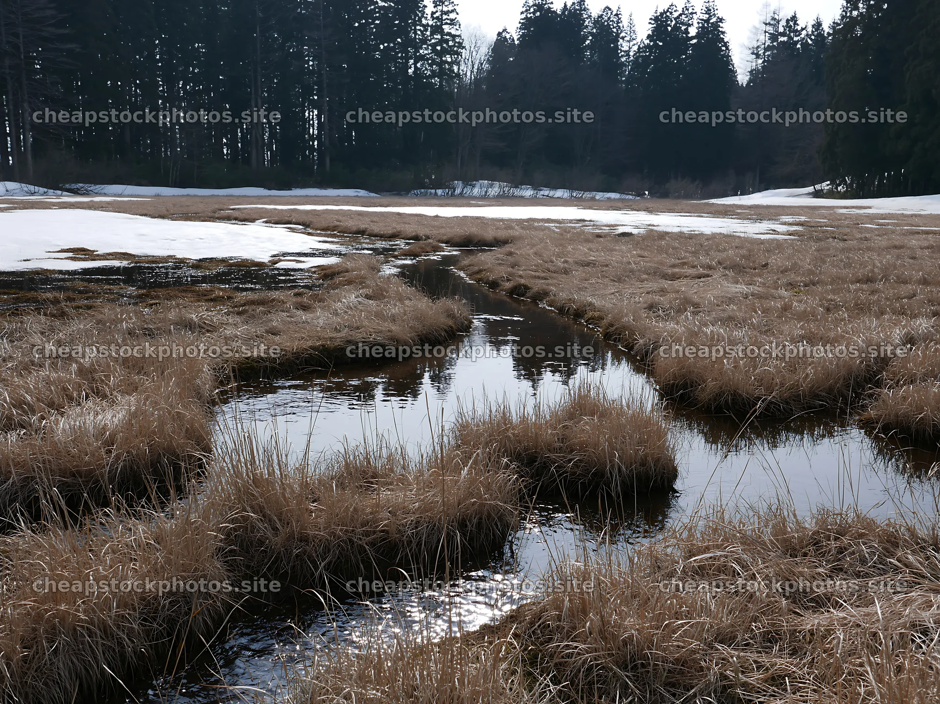 Akita snowmelt meadow with silver grasses – stock photos 9174x6866