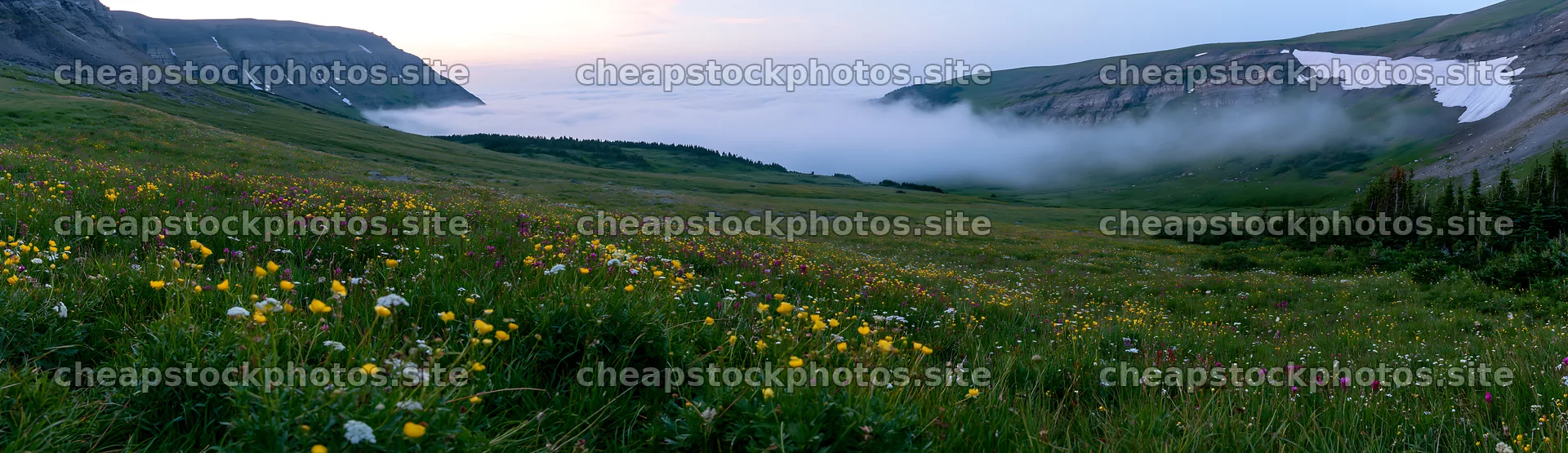 Colorful buttercup meadow in a misty valley at dawn – stock photos 14762x4268