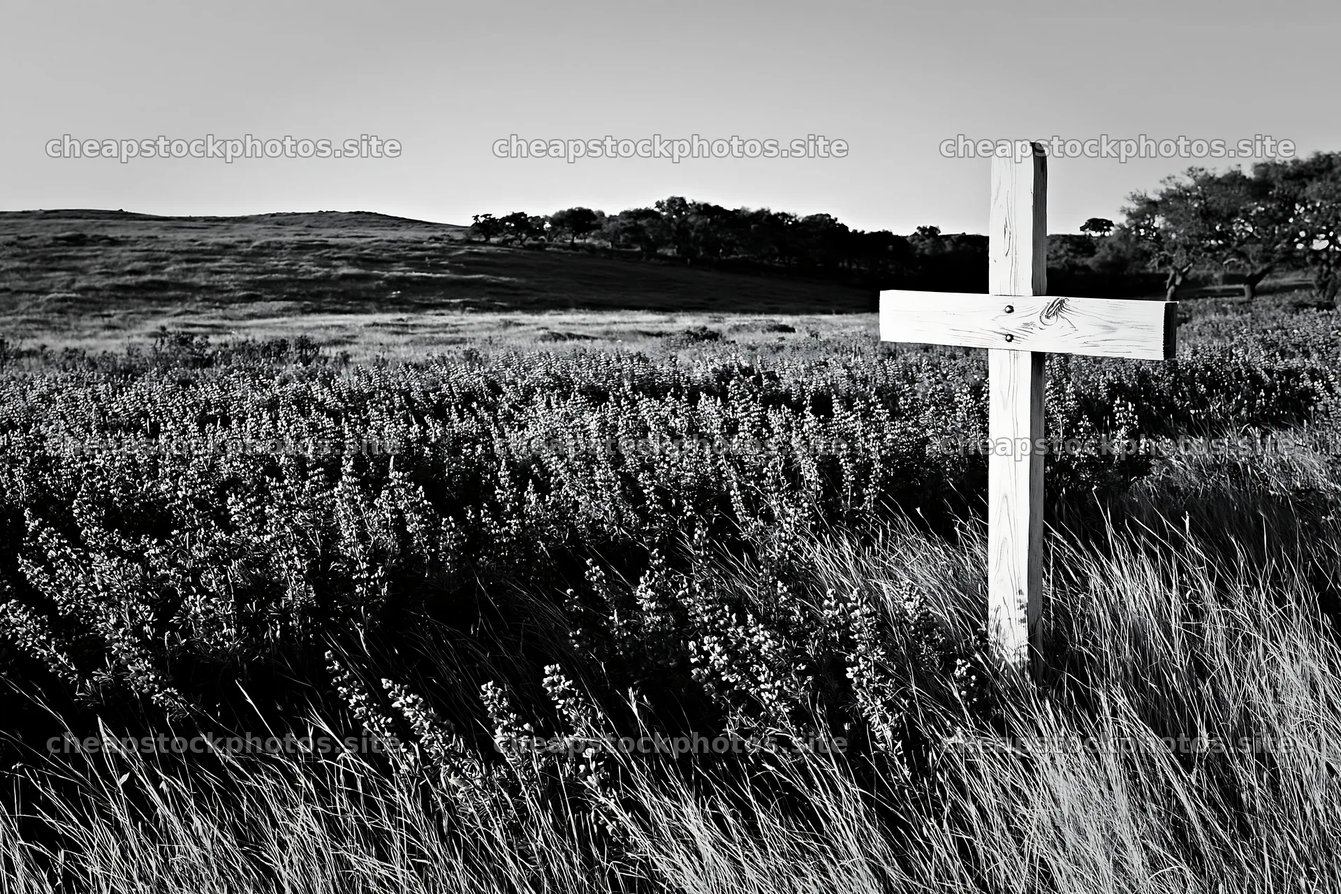 White Christian cross in remote meadow during daylight – stock photos 9722x6480