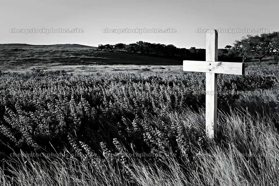 White Christian cross in remote meadow during daylight – stock photos 9722x6480