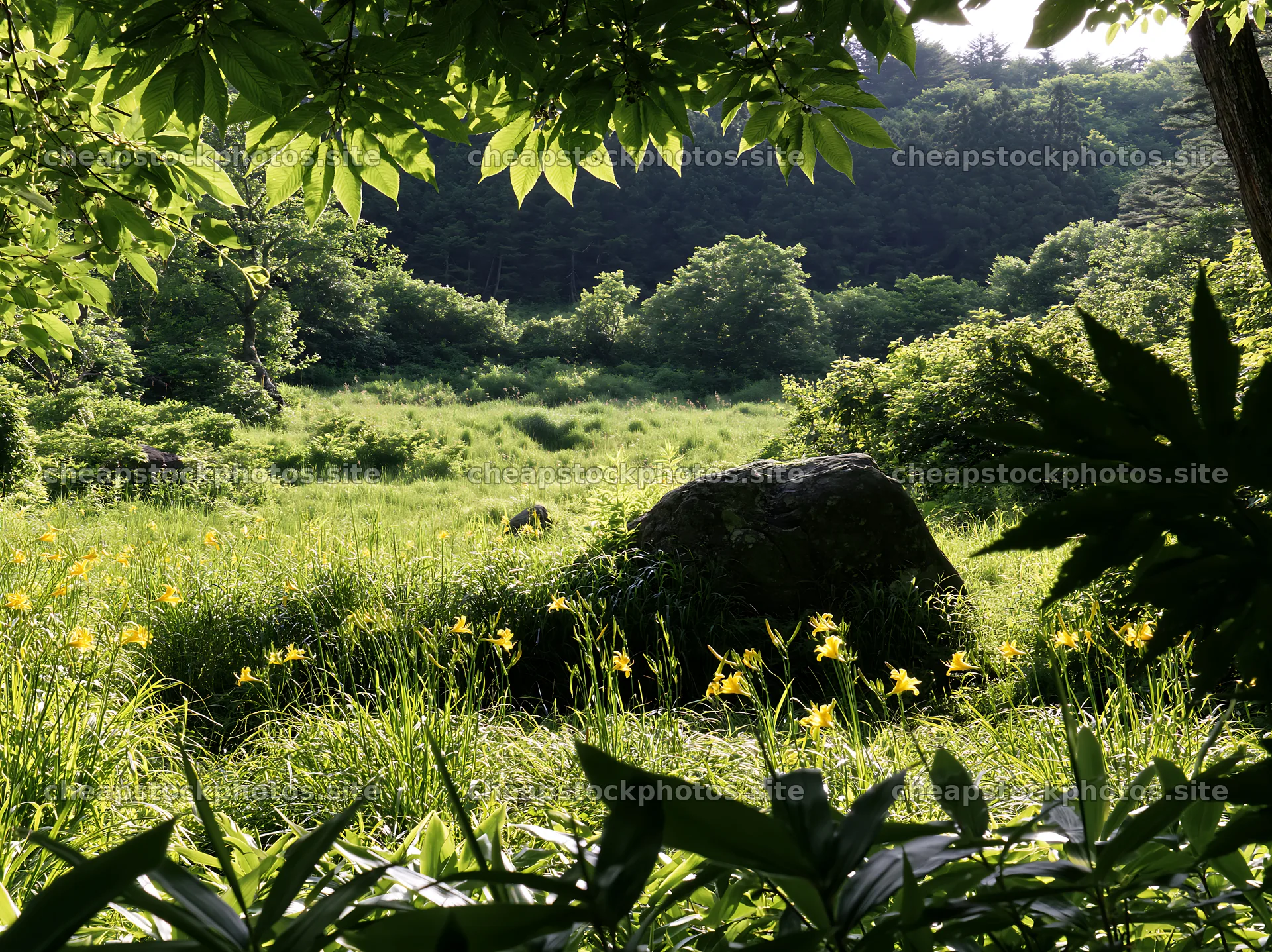 Meadow with boulder in Aomori at daytime – stock photos 9174x6866