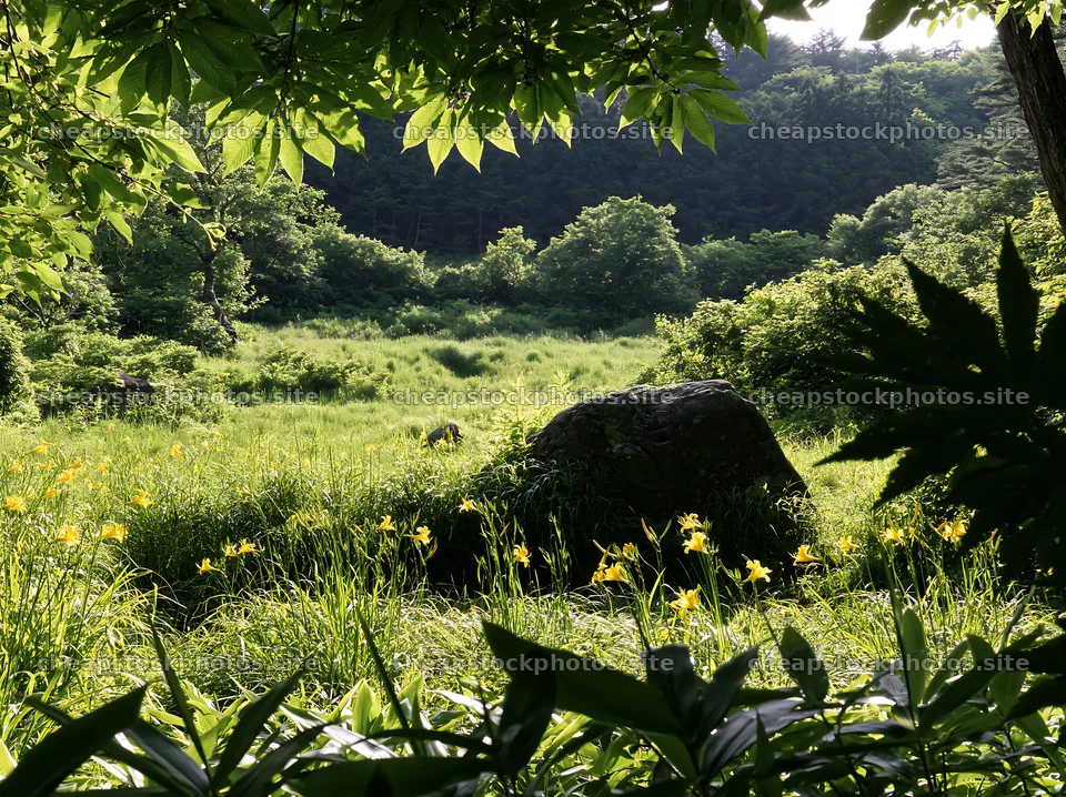 Meadow with boulder in Aomori at daytime – stock photos 9174x6866