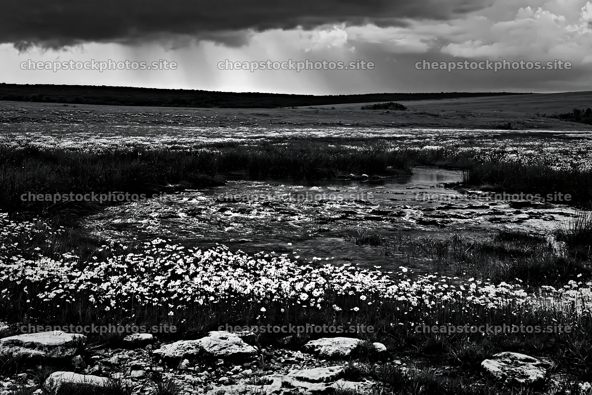 High contrast winding stream through meadow landscape – stock photos 9722x6480