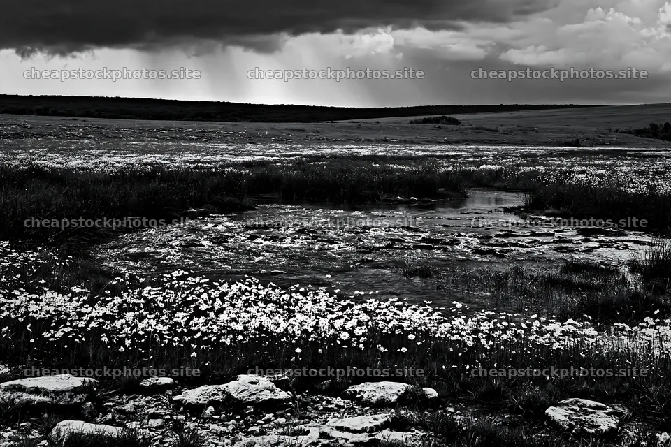 High contrast winding stream through meadow landscape – stock photos 9722x6480