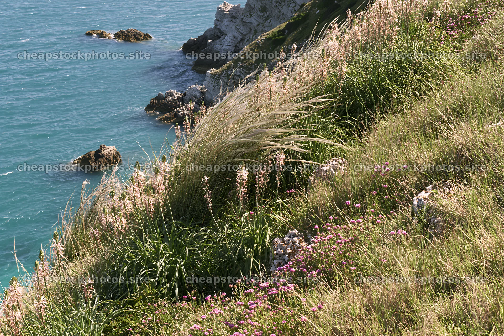 Clifftop meadow with grass and wildflowers overlooking the sea – stock photos 9722x6480