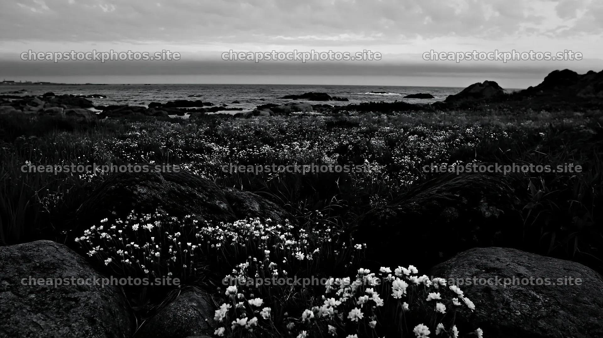 Miyagi spring recovery meadow mossy stone by the ocean – stock photos 10608x5938