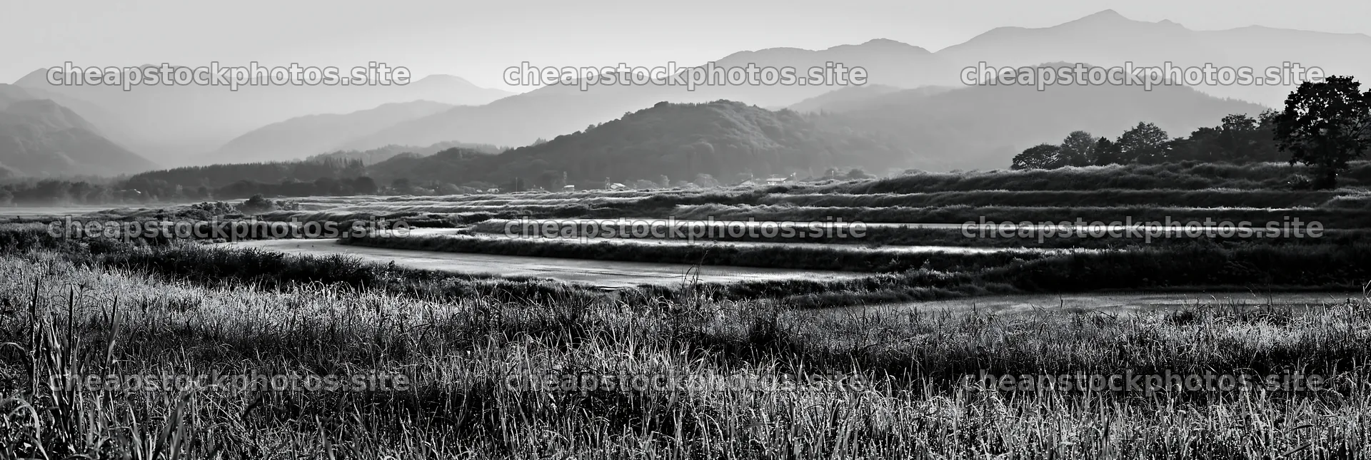 Niigata floodplain restoration meadow dew foreground – stock photos 13690x4602