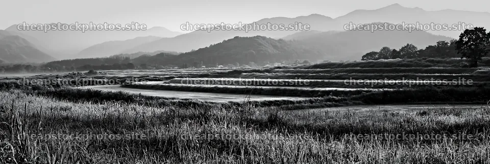 Niigata floodplain restoration meadow dew foreground – stock photos 13690x4602