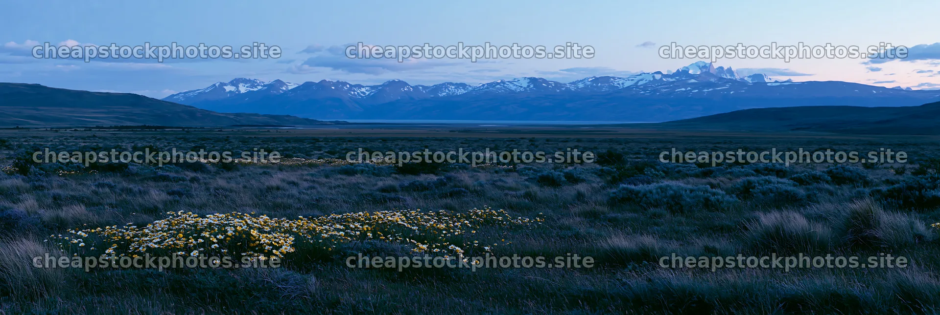 Climate-resilient meadow with mountains in the background – stock photos 13690x4602