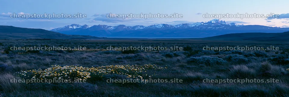 Climate-resilient meadow with mountains in the background – stock photos 13690x4602