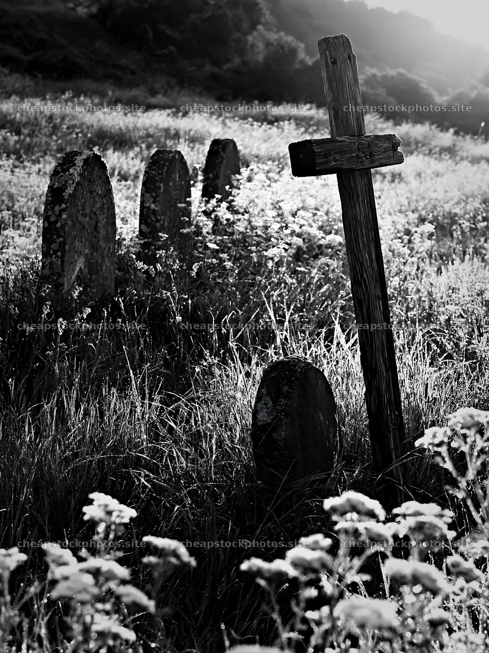 Christian cross in a meadow at sunrise – stock photos 6866x9174