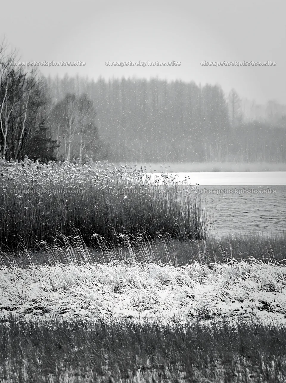 Lakeside meadow after first snowfall in black and white – stock photos 6866x9174