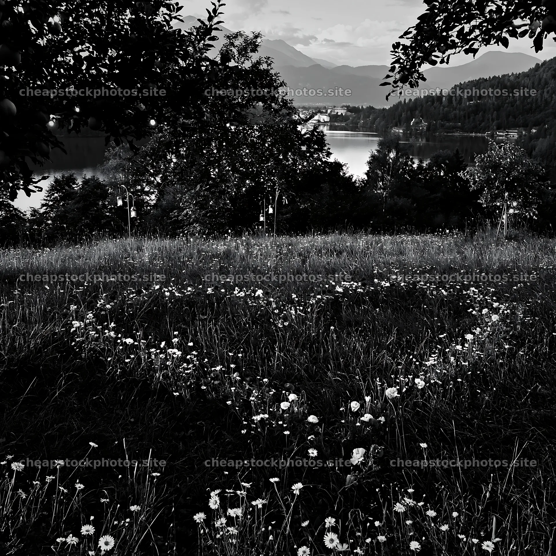 Christmas meadow with apple trees and lanterns near Lake Bled – stock photos 7938x7938