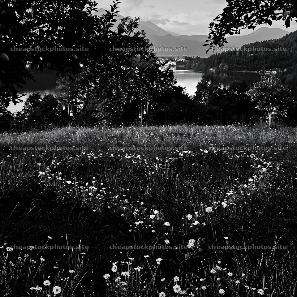 Christmas meadow with apple trees and lanterns near Lake Bled – stock photos 7938x7938