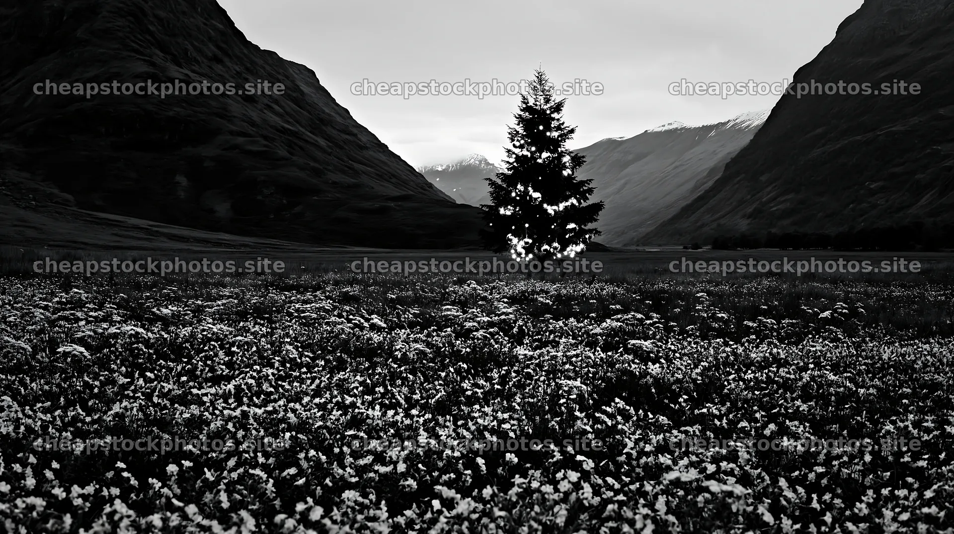 Christmas decorations beside tree in mountain valley meadow – stock photos 10608x5938
