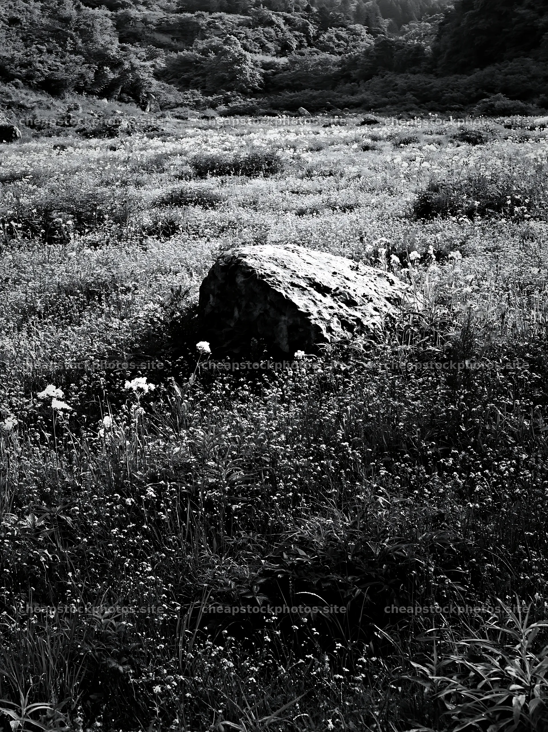 Yamaguchi limestone meadow with pale boulder in black and white – stock photos 6866x9174