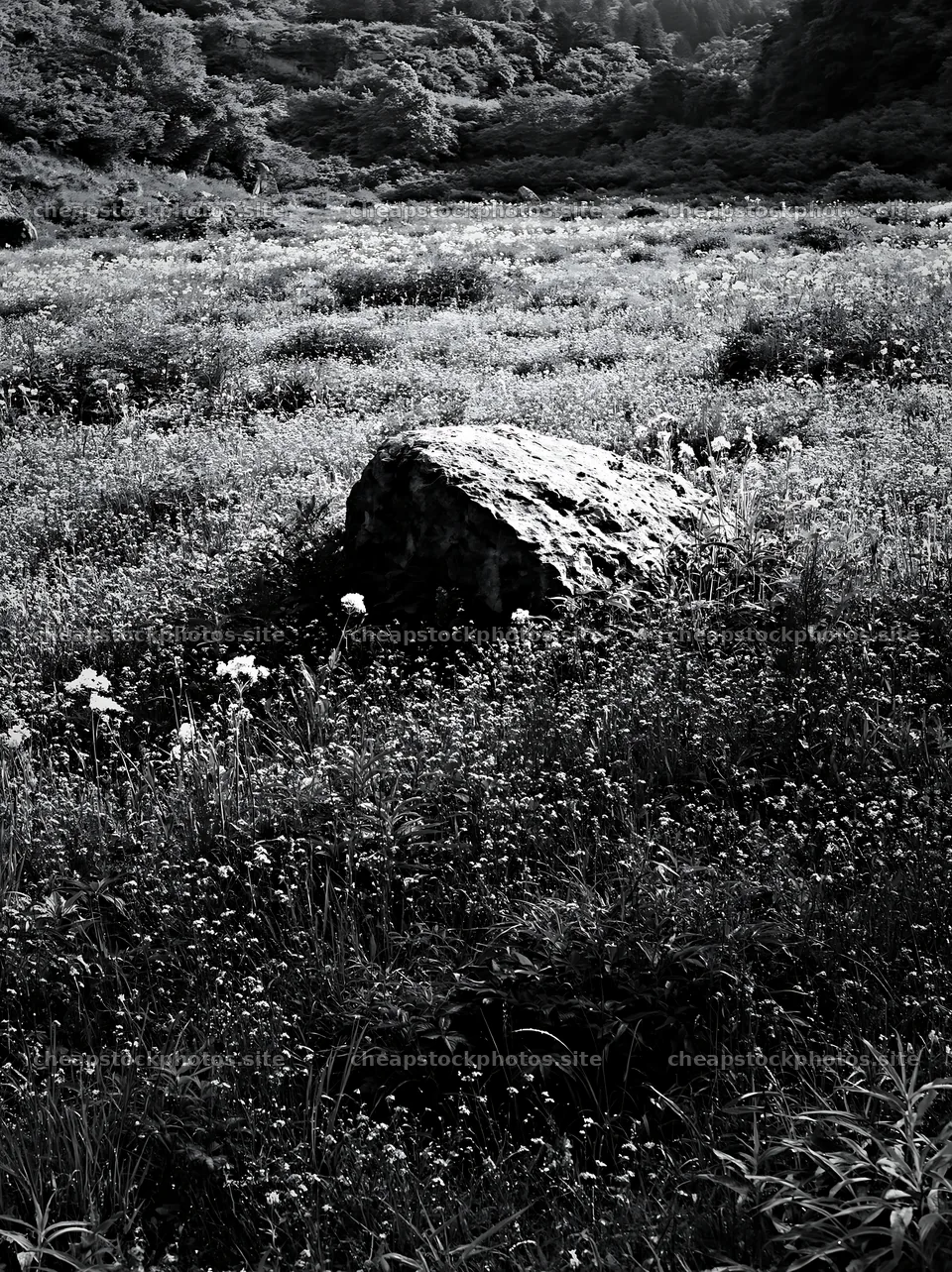 Yamaguchi limestone meadow with pale boulder in black and white – stock photos 6866x9174