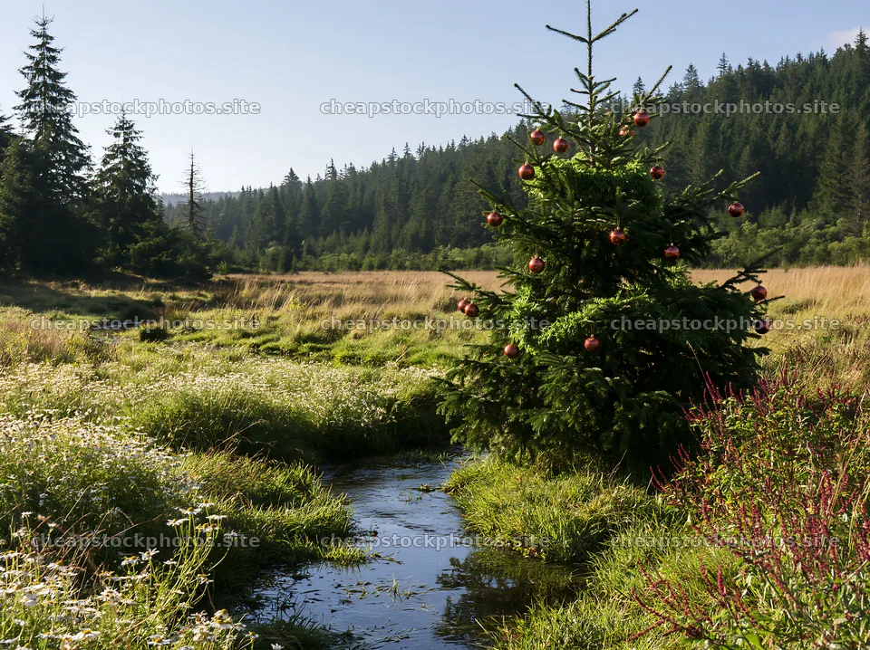 Christmas tree with ornaments beside stream in meadow – stock photos 9174x6866