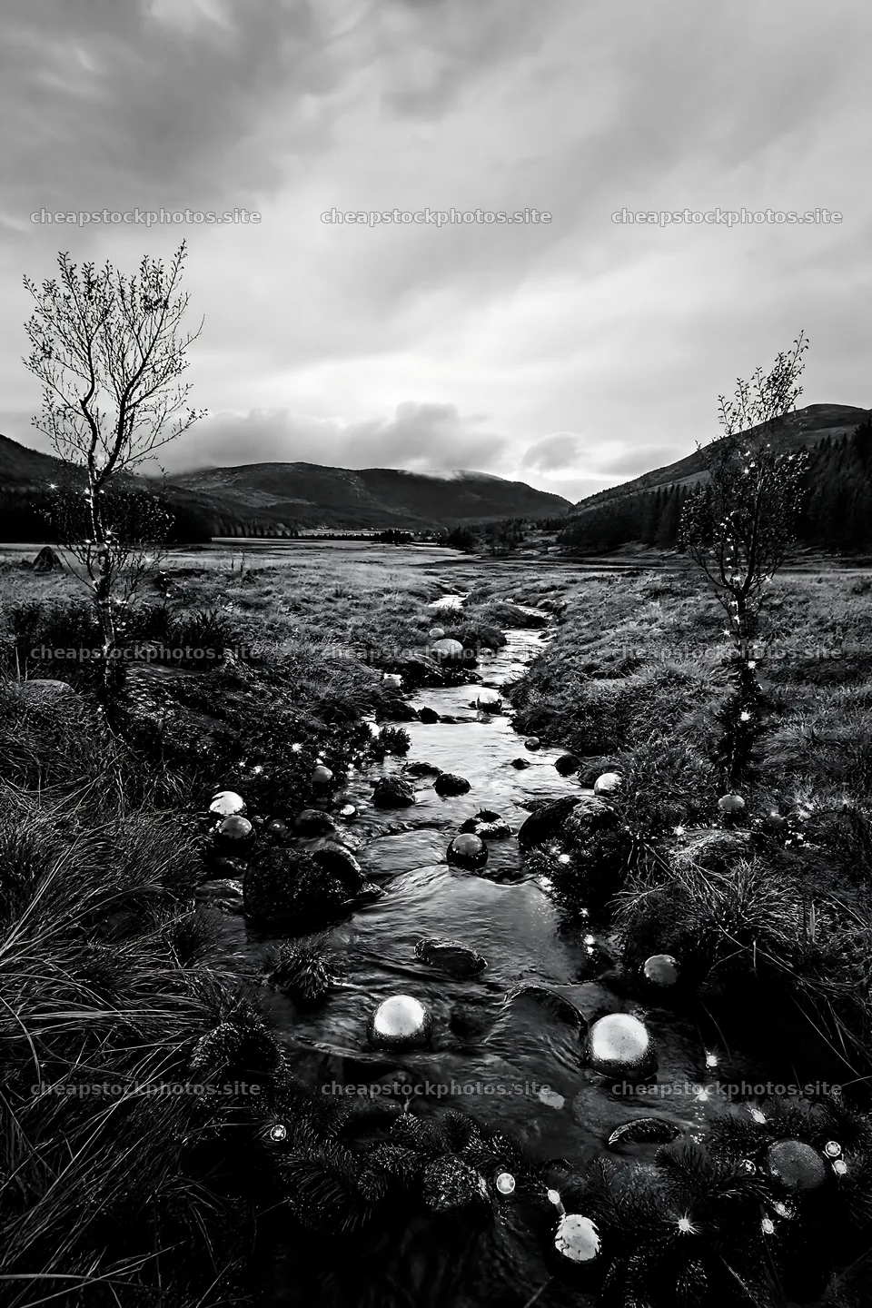 Christmas ornaments along stream in meadow – stock photos 6480x9722