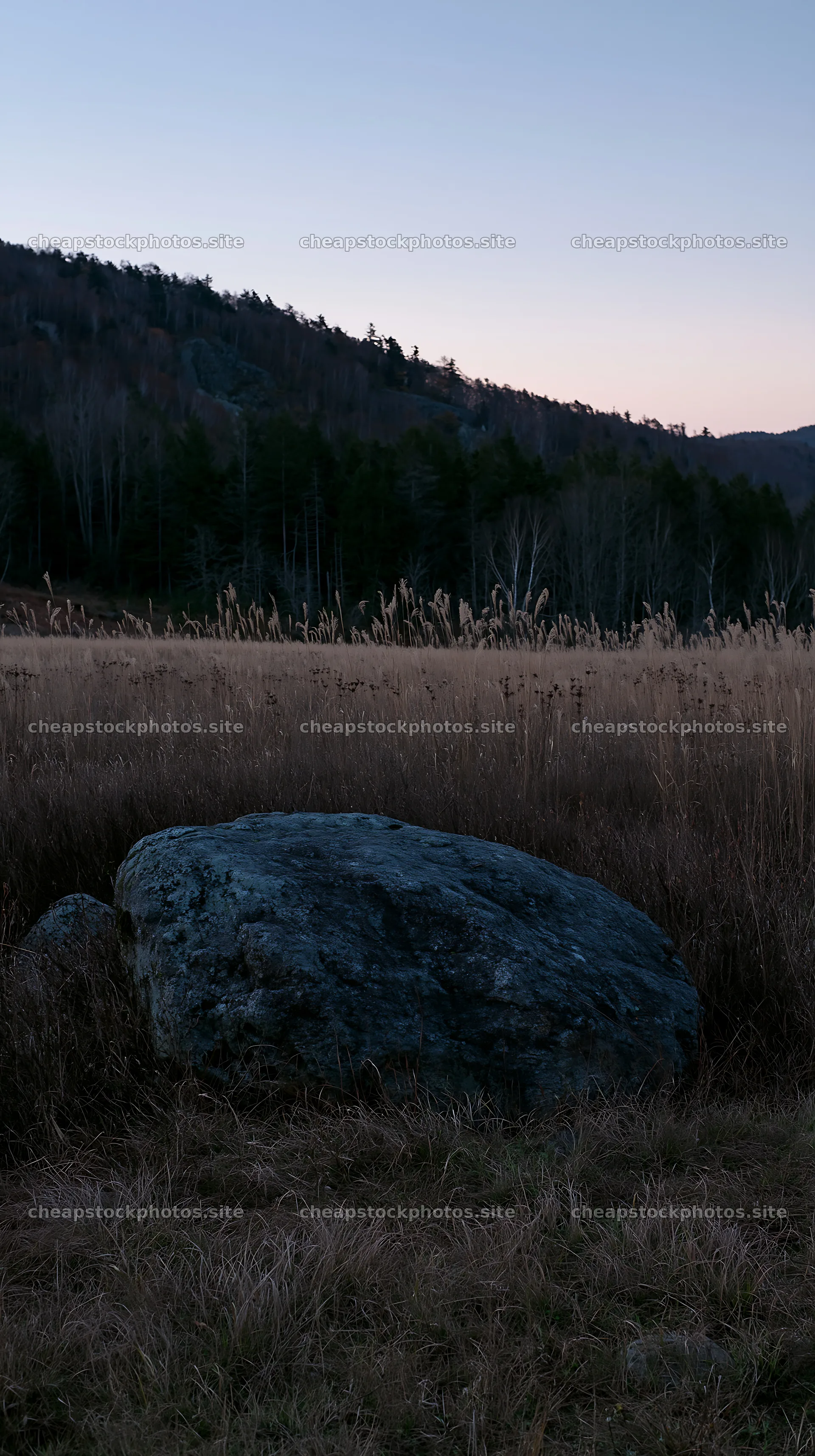 Nagano drought resilient meadow with granite boulder at dusk – stock photos 5938x10608
