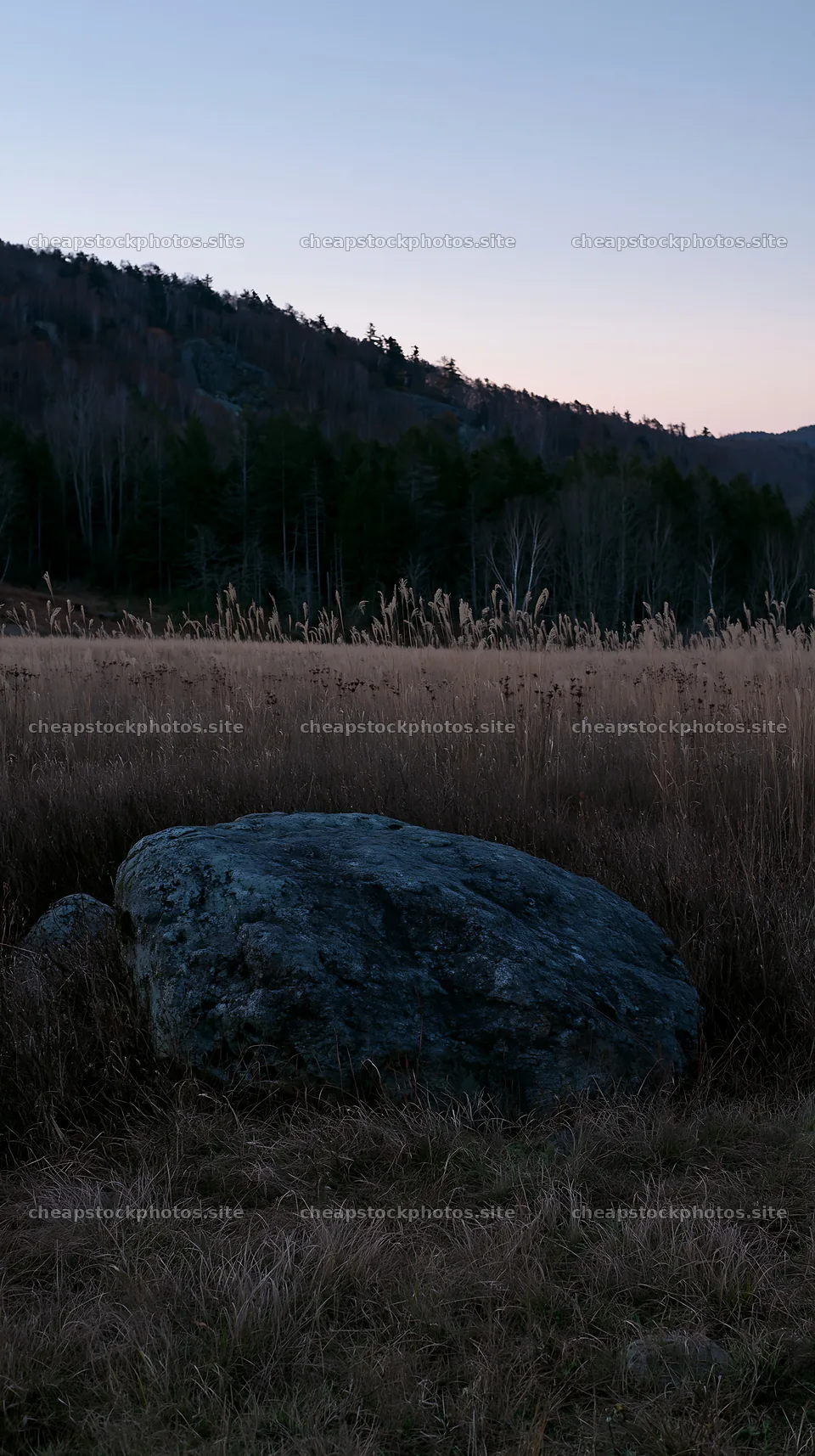 Nagano drought resilient meadow with granite boulder at dusk – stock photos 5938x10608